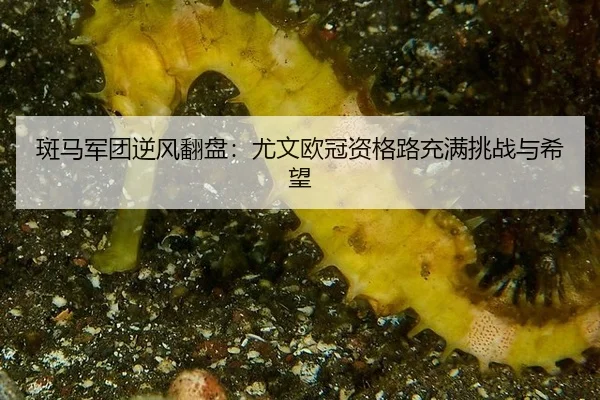 ban-ma-jun-tuan-ni-feng-fan-pan-you-wen-ou-guan-zi-ge-lu-chong-man-tiao-zhan-yu-xi-wang-2-475.jpg